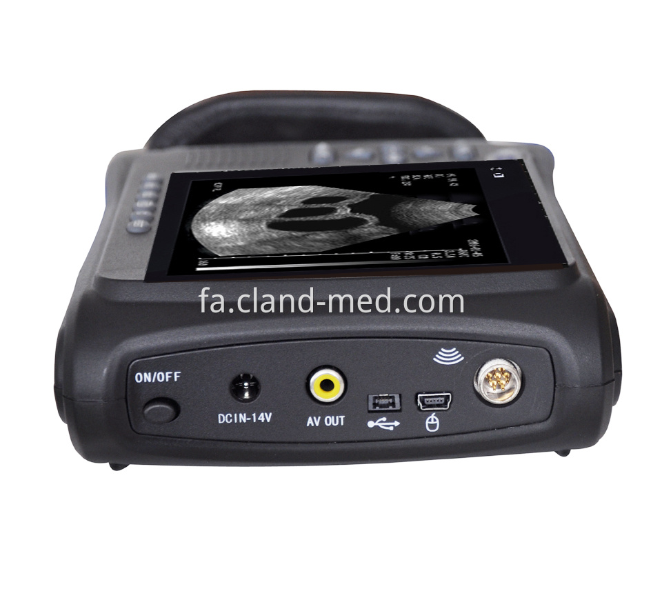 PL-2018V (4)